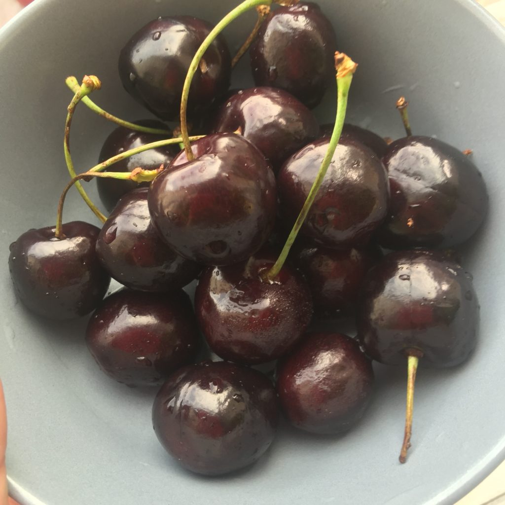 photo of bowl of cherries